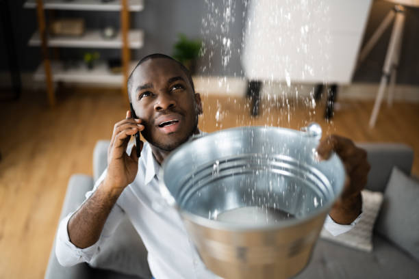 Best Flood damage cleanup  in Lake Helen, FL