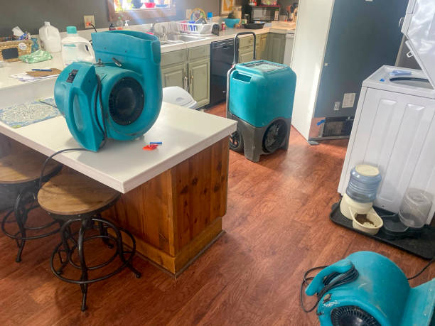 Best Local water damage restoration  in Lake Helen, FL