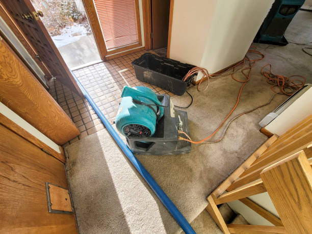 Best Emergency water damage restoration  in Lake Helen, FL