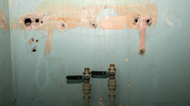 Best Residential water damage restoration  in Lake Helen, FL