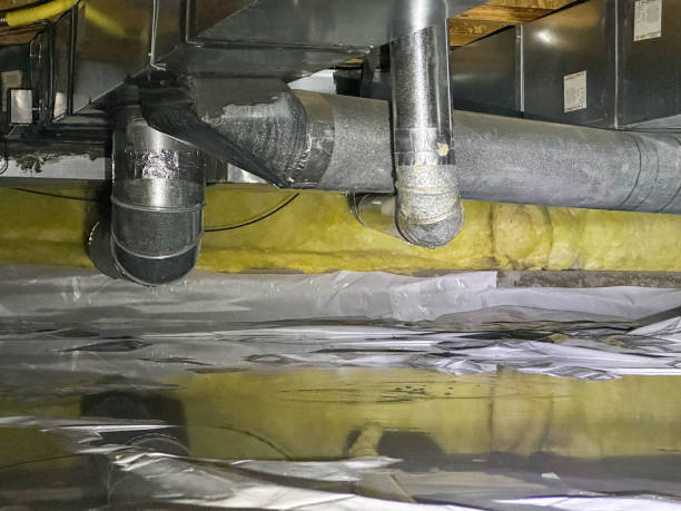 Best Water damage cleanup near me  in Lake Helen, FL