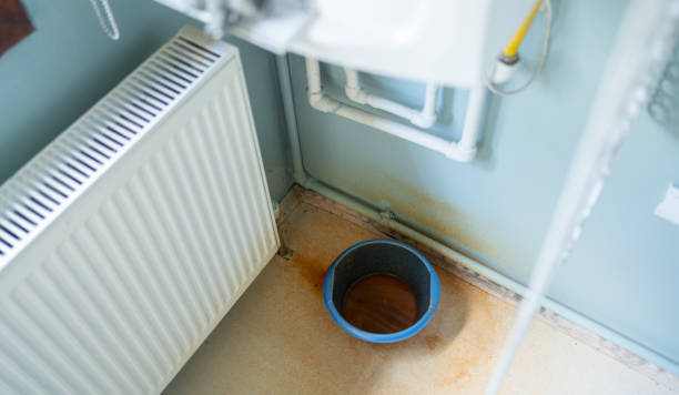 Best Water damage restoration experts  in Lake Helen, FL