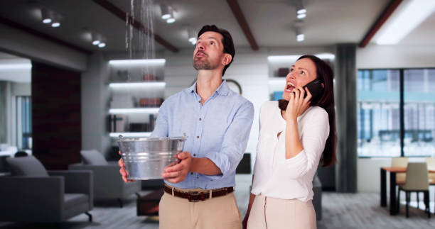 Best Commercial water damage restoration  in Lake Helen, FL