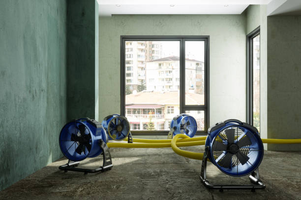 Best Carpet water damage restoration  in Lake Helen, FL
